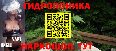прущие грибы Мариинск