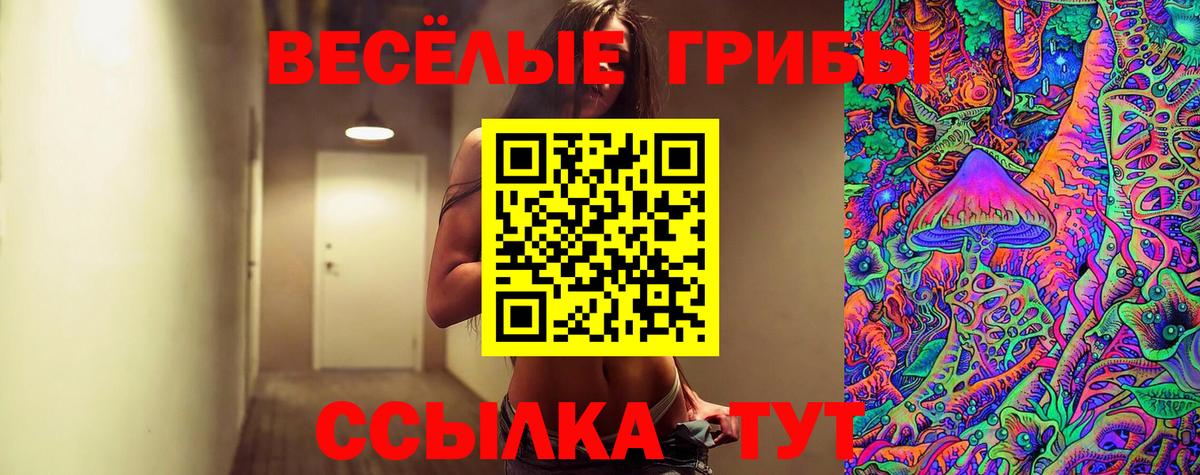 закладки  Галлюциногенные грибы Cubensis  Вход с VPN  Вязьма 